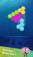 Screenshot 9: Hexa Puzzle: Triangle Block