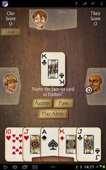 Screenshot 19: Euchre
