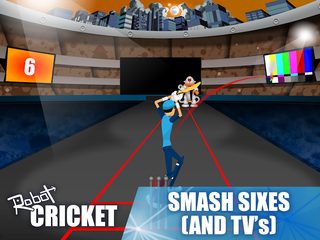 Screenshot 10: Robot Cricket