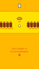 Screenshot 7: Chicken Crash