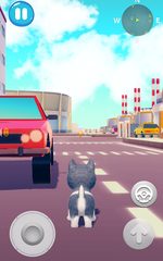 Screenshot 19: Talking Husky Dog