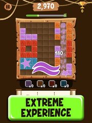 Screenshot 10: Block Puzzle Extreme