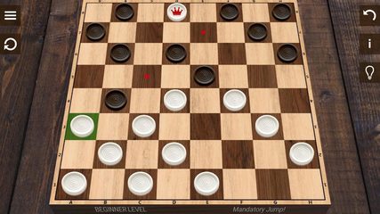 Screenshot 15: Checkers
