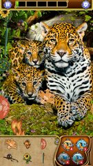 Screenshot 1: Hidden Object: Animal World