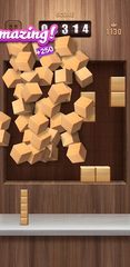 Screenshot 9: Wood Block Puzzle