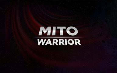 Screenshot 1: Mito Warrior
