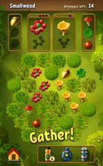 Screenshot 21: Forest Bounty — collect & cook
