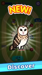 Screenshot 20: Idle Bird Park