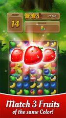 Screenshot 4: Juice Pop Mania