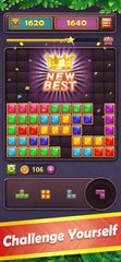 Screenshot 5: Block Puzzle Gem 4+