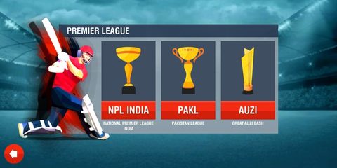 Screenshot 8: World Cricket Championship