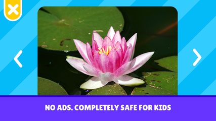 Screenshot 7: Flashcards Toddler Games for 2 and 3 Year Olds