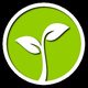 Lucky tree - plant your own tree