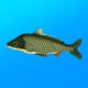 True Fishing. Fishing simulator