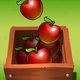 Fruit Packers
