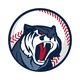 Astonishing Baseball Manager 2019