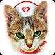 Purring cats therapy - jigsaw puzzle