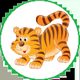 Tigers in cage