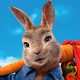 Peter Rabbit Run!