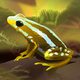 Pocket Frogs: Tiny Pond Keeper