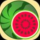 Watermelon Master🍉New Fruit Action Game