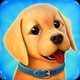 Dog Town: Pet Shop, Care Games