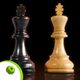 Master Chess Multiplayer