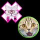 KitCatToe Real