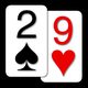 29 Card Game by NeuralPlay