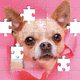 Jigsaw Puzzles for Adults