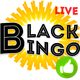Bingo Live Black Edition Money Game Lotto online $